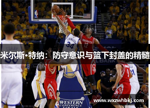 米尔斯·特纳：防守意识与篮下封盖的精髓