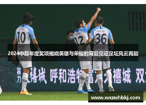 2024中超年度奖项揭晓英雄与荣耀的背后见证足坛风云再起