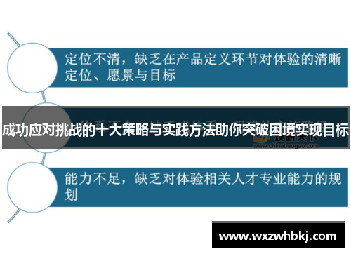成功应对挑战的十大策略与实践方法助你突破困境实现目标