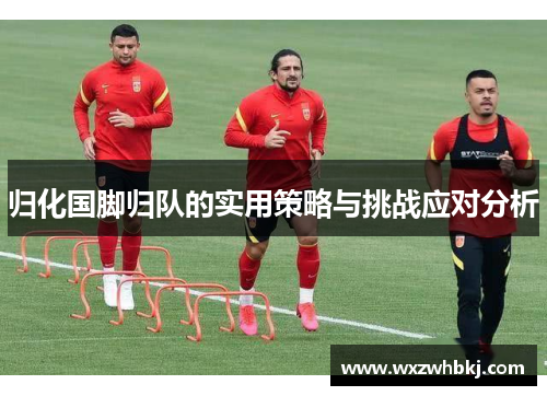 归化国脚归队的实用策略与挑战应对分析