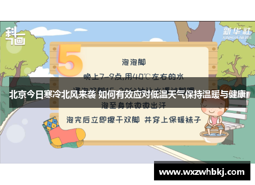 北京今日寒冷北风来袭 如何有效应对低温天气保持温暖与健康