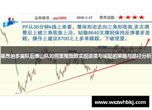 莱昂纳多离队后泰山队如何重整旗鼓实现逆袭与崛起的策略与路径分析